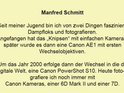 Schmitt Manfred